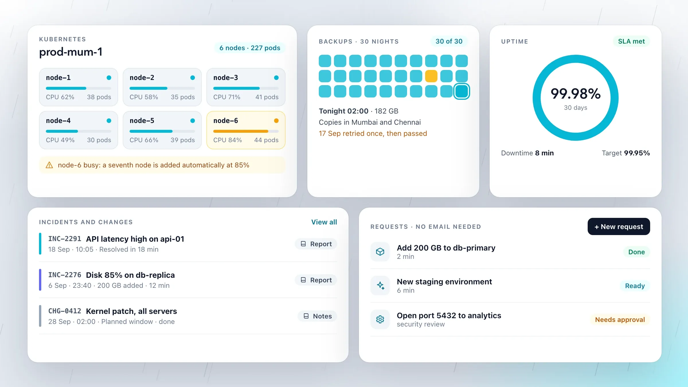 The customer portal with the cluster, 30 nights of backups, uptime, incidents and requests